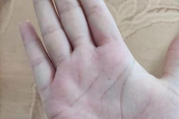 揭秘事业型女性的成功密码：手相中的职场运