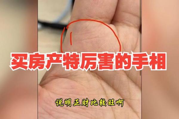 揭秘事业型女性的成功密码：手相中的职场运