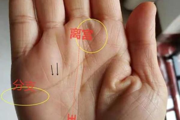 手相揭秘：山字纹竟预示着这样的运势，错过你就亏大了