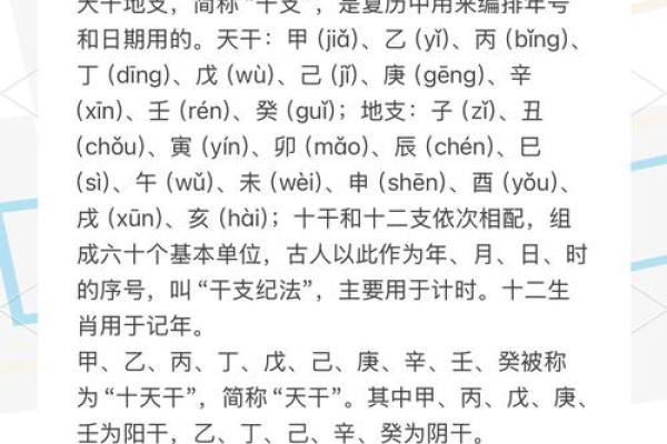 年天干算法入门指南：一步步教你算出命运