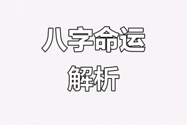 免费八字命理预测，解锁你一生的运势轨迹