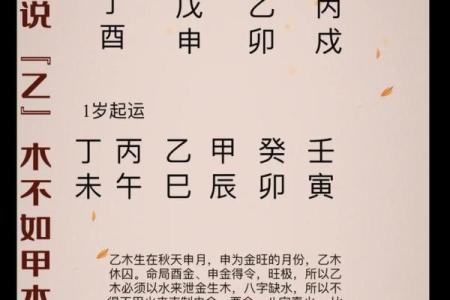 八字弱如何提升运势？这几条建议让你事半功倍！