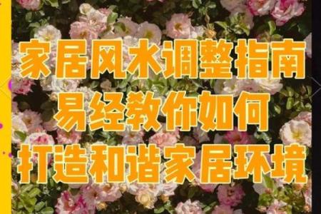易经智慧解密：揭秘人心风水之谜，家居布局如何影响运势