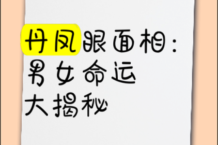 解码面相：揭秘男女命运吉凶的神秘密码
