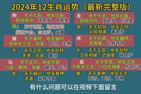 十二生肖大揭秘：找到最适合你的干亲属相