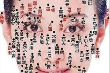 巨富痣相：揭秘财富与命运的神秘联系