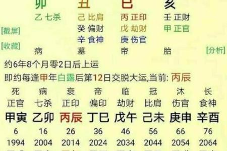 专业命理师免费批八字，解答你的人生疑惑