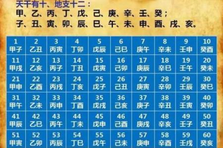 生辰八字查健康，预测未来的身体状况
