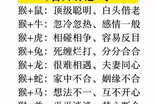 女蛇男鸡天生一对，揭秘生肖配对秘诀
