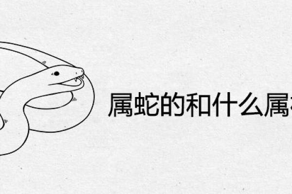 女蛇男鸡天生一对，揭秘生肖配对秘诀
