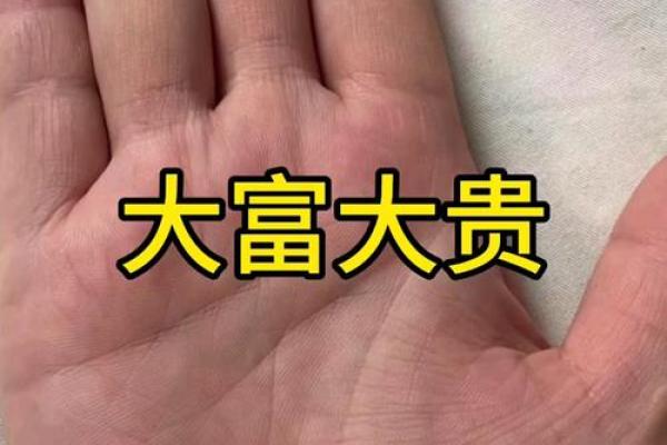 手相大师：揭秘你的命运与未来，一次手相，一生财富
