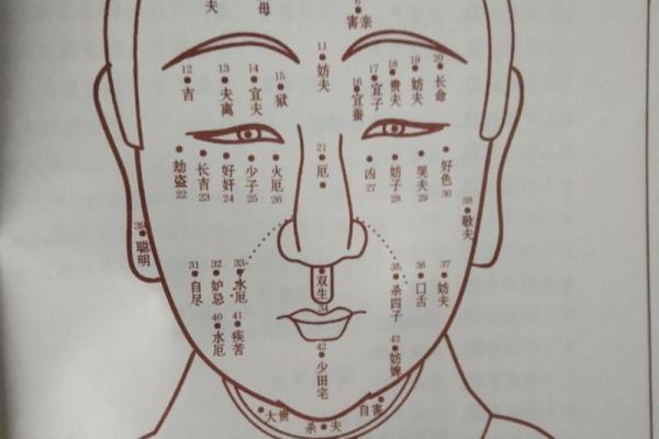 痣相大师柳庄神相：揭秘痣相背后的惊人秘密