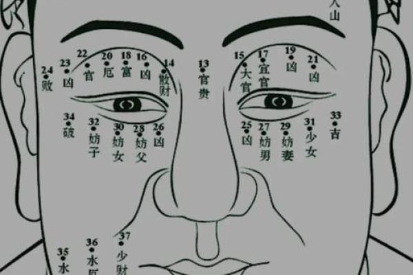 痣相大师柳庄神相：揭秘痣相背后的惊人秘密