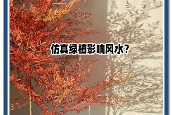 假花风水秘籍：家居风水提升必备神器