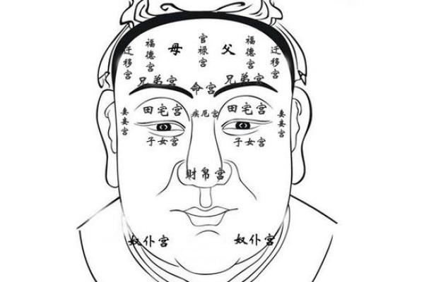 麻衣面相十二宫揭秘：掌握命运密码，破解人生运势