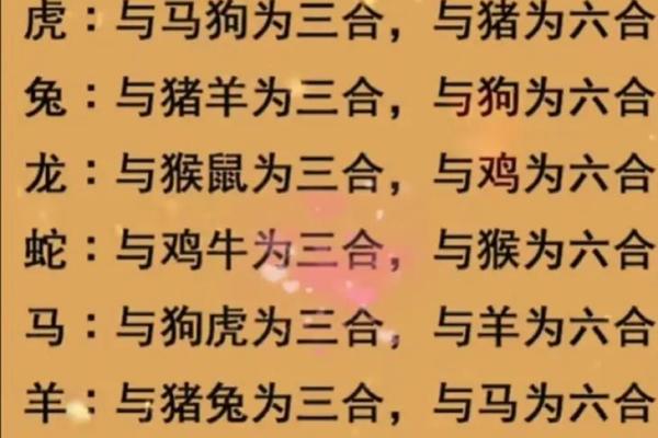 龙鸡猪三生肖配对，揭秘幸福人生秘诀