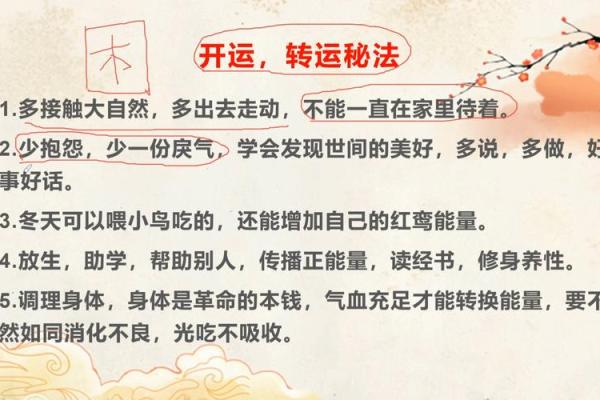 想要好运连连？了解天干禄库的奥秘