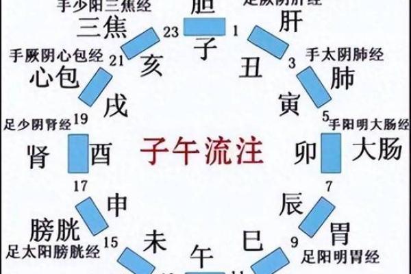 地支五行在日常生活中的神奇影响