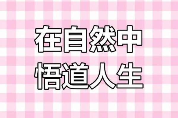 飞禽走兽面相秘籍：解码生肖运势，揭示人生奥秘