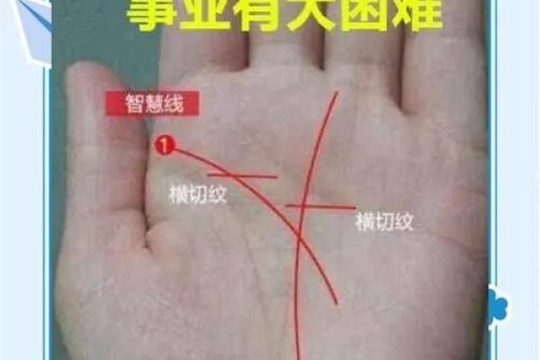 曲炜揭秘：手面相绝学，一眼识人命运转折点