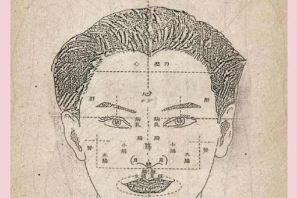 揭秘面相秘诀：一眼识破命运吉凶