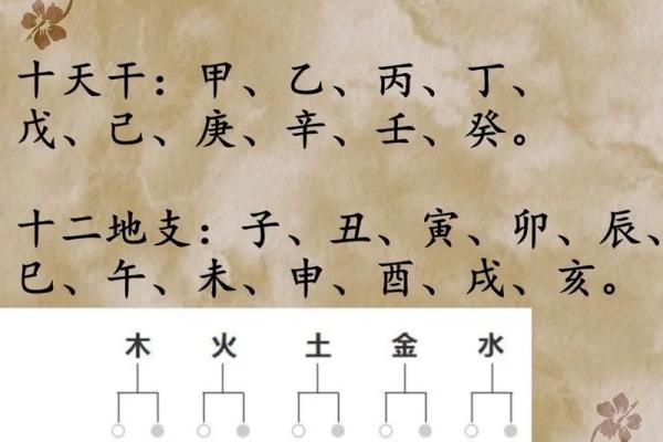 十二天干地支如何计算？揭秘五行与命理的奥秘