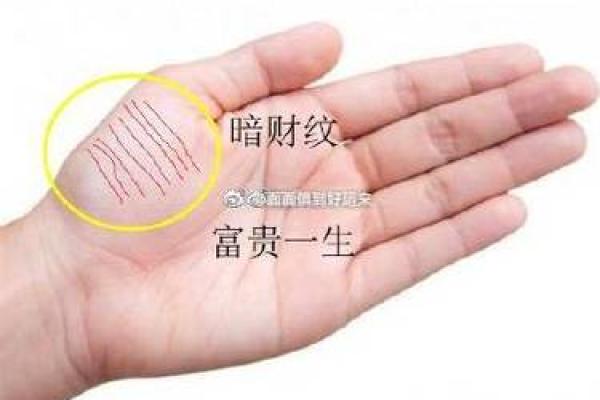 揭秘手相中的神秘鱼纹：金星丘上的秘密，预示着怎样的命运？