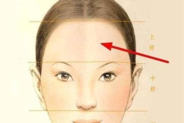 揭秘面相天机：一眼洞察命运，教你轻松识人辨事