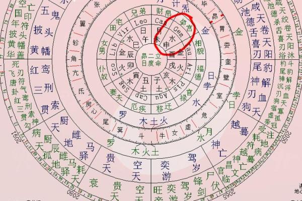 免费紫微斗数排盘，轻松揭开你的人生奥秘！