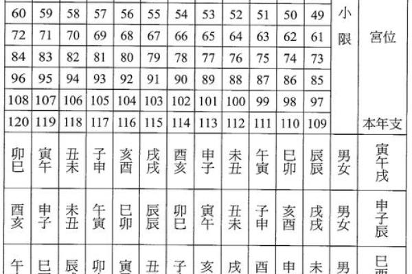 免费紫微斗数排盘，轻松揭开你的人生奥秘！