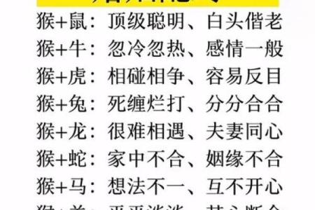 女蛇男鸡天生一对，揭秘生肖配对秘诀