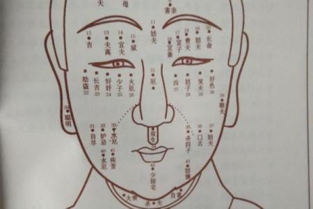 痣相大师柳庄神相：揭秘痣相背后的惊人秘密