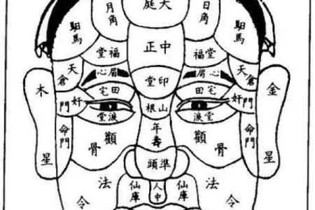 一眼识人，揭秘面相秘诀你的运势如何？快来对照
