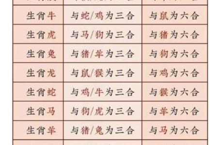 飞禽走兽面相秘籍：解码生肖运势，揭示人生奥秘