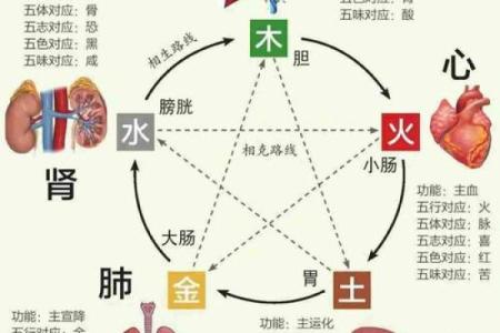 从命理角度看癌症的根源：如何解读你的命运图
