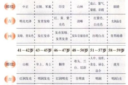 揭秘面相秘诀：一眼识破命运吉凶