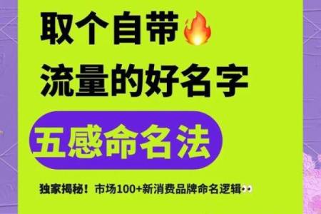 楚字公司起名秘籍，助你轻松打造品牌形象