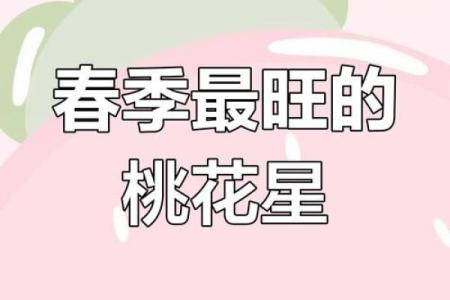 运势好不好？八字桃花分析为你指引爱情方向