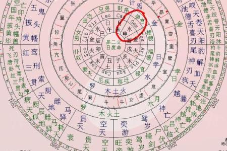 免费紫微斗数排盘，轻松揭开你的人生奥秘！