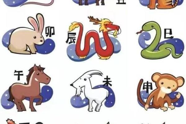 属相大揭秘：虎年与哪一属相碰撞最火花四溅？