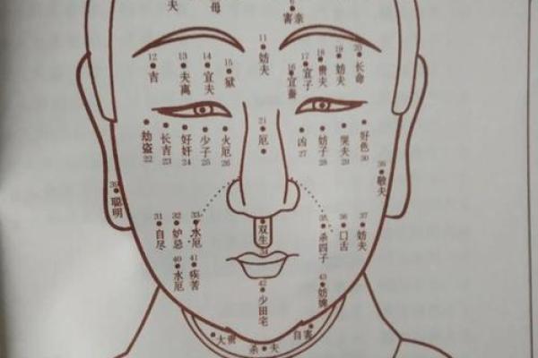 面相好，运势旺：揭秘佛祖面相的秘密，助你财运亨通