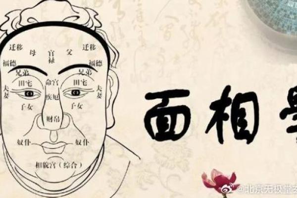 面相揭秘：揭秘那些隐藏在五官间的命运密码