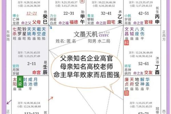 紫薇排盘App全解析：掌握命运，轻松掌握人生轨迹！