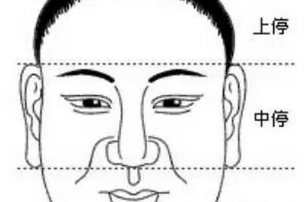 揭秘面相头骨奥秘：掌握运势密码，解锁人生幸福