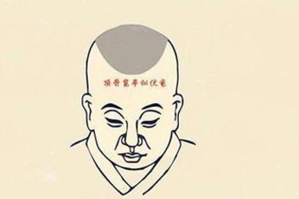 揭秘面相头骨奥秘：掌握运势密码，解锁人生幸福