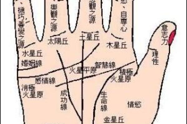 手相中如何看子嗣运势，影响家庭幸福的秘密
