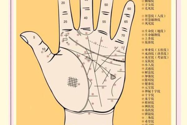 揭秘手相奥秘：掌握生女孩的神奇手相技巧大全