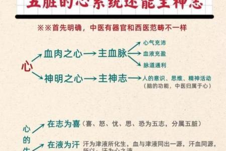 心的五行属性大揭秘，与你的健康息息相关！