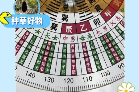 罗盘里的神秘风水秘籍：老字号传世秘术，揭秘家居风水奥秘