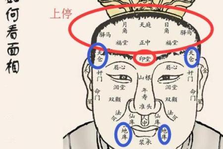 小嘴神验：揭秘面相中的财富密码